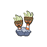 shuckle